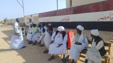 زيادة ملحوظة في إقبال الناخبين على التصويت في انتخابات مجلس الشيوخ 2025 بالمحافظات الحدودية