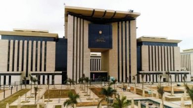 مؤتمر المصريين بالخارج يستقطب 1200 مواطن من الجاليات