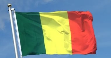 مالى تعلن إحباط محاولة لزعزعة استقرار البلاد خُطط لها بدعم من دولة أجنبية
