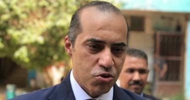 المستشار محمود فوزي: مشاركة المواطنين أفضل ضمانة لنزاهة الانتخابات