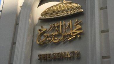 مشاركة ملحوظة للجالية المصرية في اليونان خلال اليوم الثاني من انتخابات الشيوخ