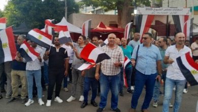 مشهد انتخابي متنوع بالجيزة: كبار السن والنساء والشباب في الصدارة