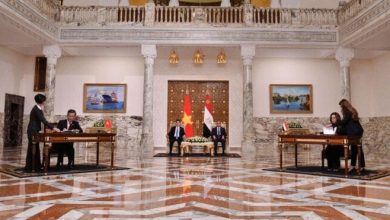 مصر وفيتنام تبرمان مذكرتي تفاهم في مجالي التنمية المحلية والاقتصادية «فيديو»