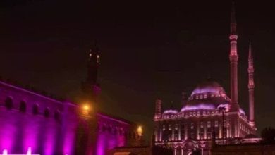 مهرجان القلعة الدولي يعرض مباشرة عبر الأوبرا بثاً من الدورة الـ 33