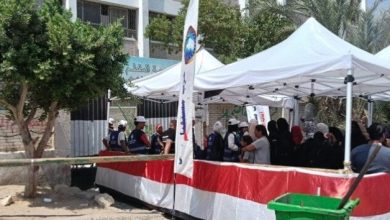 نتائج انتخابات مجلس الشيوخ 2025 تبدأ بالتسليم وفق محاضر الفرز