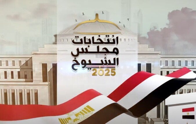 نتيجة انتخابات مجلس الشيوخ 2025 تعلنها الهيئة الوطنية غدًا