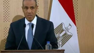 وزير الخارجية يؤكد: تهجير الفلسطينيين خط أحمر غير قابل للتجاوز