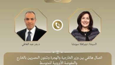 وزير الخارجية يدعو إلى ضغط أوروبي لوقف إطلاق النار في غزة