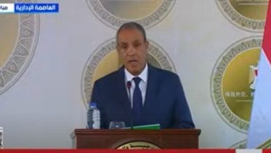 وزير الخارجية يصف قرار إسرائيل بإعادة احتلال قطاع غزة بأنه «غير مسئول»