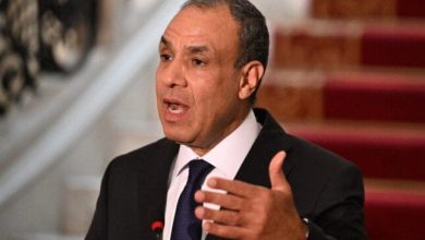 وزير الخارجية يعلن: إسرائيل تتحمل كامل المسؤولية عن الكارثة الإنسانية في غزة