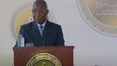 وزير خارجية كوت ديفوار يؤكد الاستفادة من الخبرات المصرية