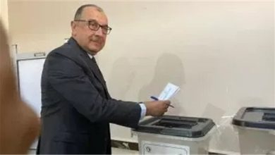 وزير قطاع الأعمال يشارك في انتخابات مجلس الشيوخ 2025