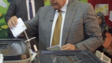 وكيل مجلس النواب يشارك في انتخابات مجلس الشيوخ 2025